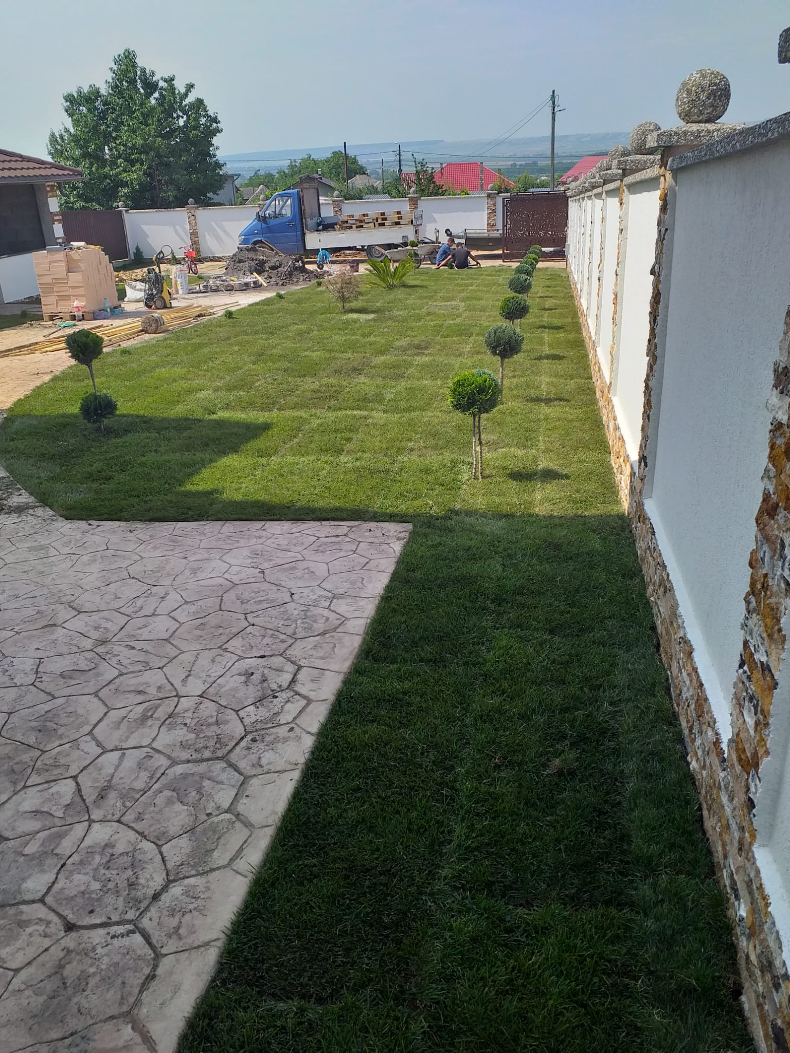 Gazon sportiv de înaltă calitate