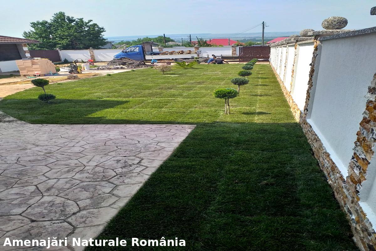 Amenajare gazon sportiv, proiect de Amenajări Naturale România